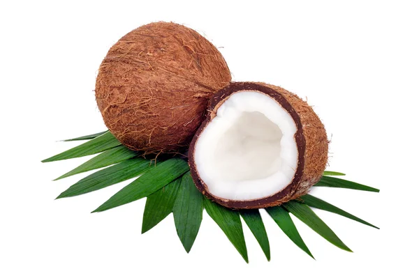Coconut fruit isolated on white background — Stock Photo, Image
