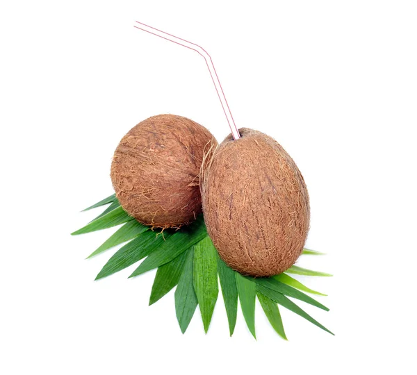 Frutta al cocco con grissini isolati su fondo bianco — Foto Stock