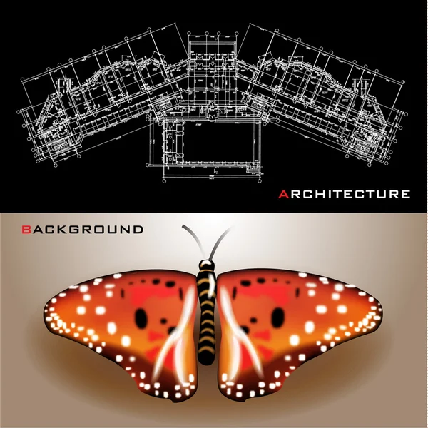 Creativo sfondo architettonico con una farfalla — Vettoriale Stock
