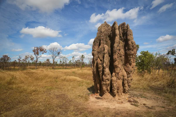 Termitiště (nasutitermes triodae), kakadu national park, Austrálie — Stock fotografie