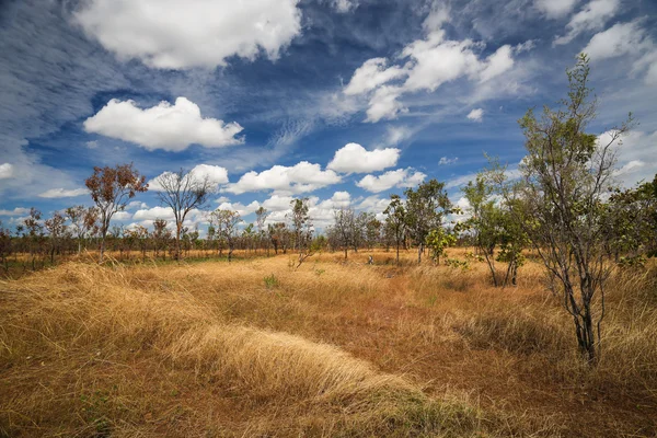 Landschap van kakadu nationaal park, Australië — Stockfoto