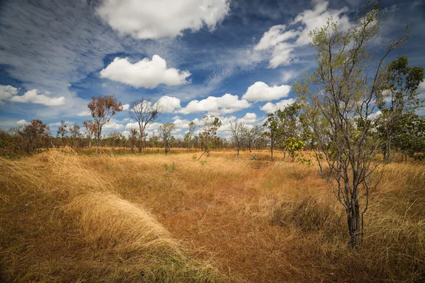 Landskapet i kakadu national park, Australien — Stockfoto
