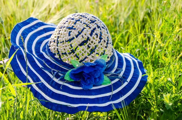 stock image Beautiful blue hat on grass background