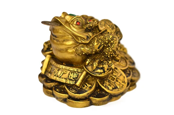Китайская лягушка фэн шуй с монетами — стоковое фото