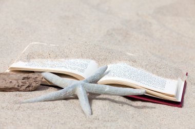An open book with a starfish and a piece of driftwood lying on the beach clipart