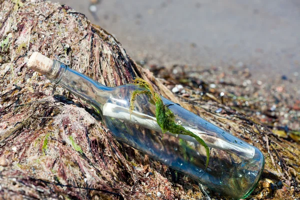 Flaschenpost am Strand mit Seegeas — Stockfoto