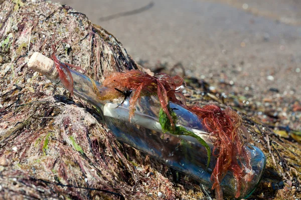 Flaskpost på stranden täckt med seegeas — Stockfoto