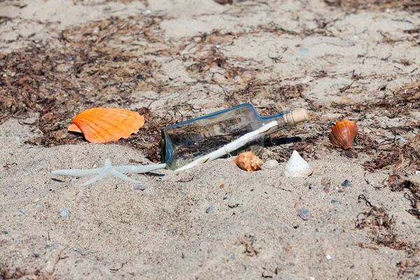 Mensaje en botella en la playa con conchas marinas y estrellas de mar — Foto de Stock