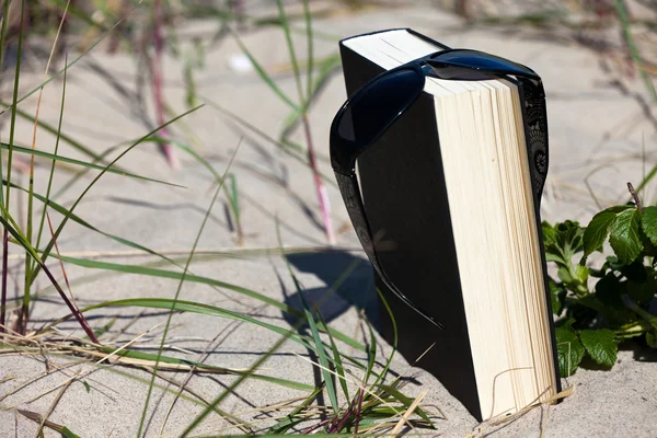 Gafas de sol colgando de un libro sobre la hierba de playa arenosa entre las dunas —  Fotos de Stock