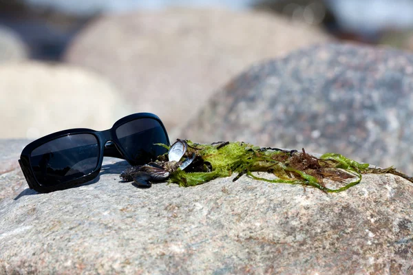 Gafas de sol con gafas de color oscuro se encuentra en una roca en la costa —  Fotos de Stock