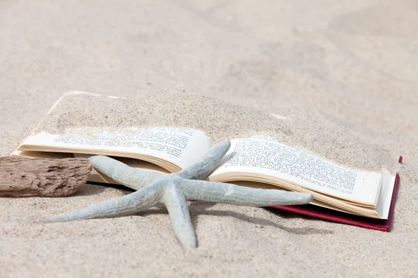 Otwartą książkę z rozgwiazdy i kawałek driftwood leżąc na plaży — Zdjęcie stockowe