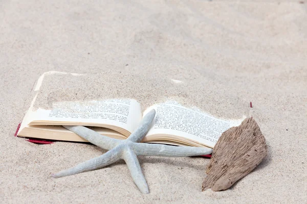 Um livro aberto com uma estrela do mar e um pedaço de madeira à deriva deitada na praia — Fotografia de Stock