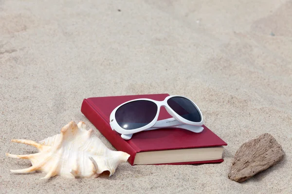 Livro com uma concha e um pedaço de madeira à deriva deitado na praia — Fotografia de Stock