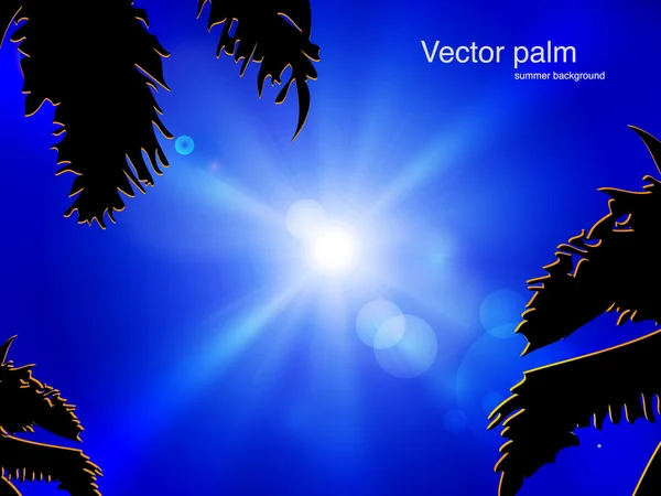 Vektorsonne am blauen Himmel mit Palme — Stockvektor