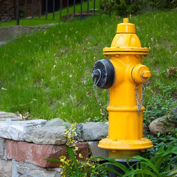 Жовтий пожежного гідранта Торонто, Канада — стокове фото