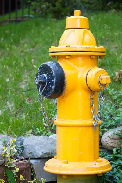 Yellow Fire Hydrant in Toronto — Stock Photo, Image
