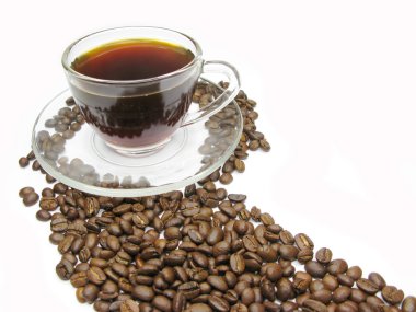 kahve çekirdekleri arasında