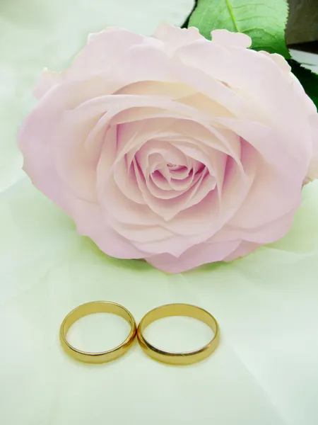 Pink rose and wedding rings — Stock Photo, Image