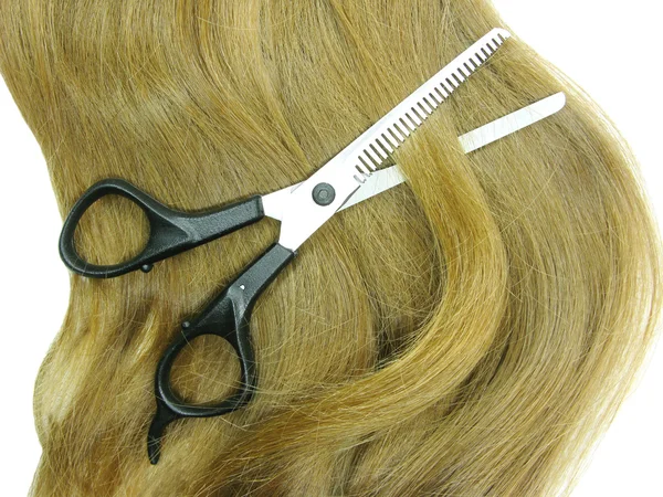Scissors in brunette hair — Stok fotoğraf