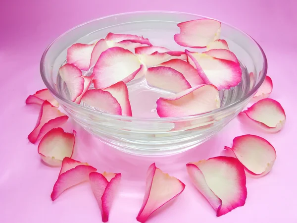 Spa ros skål med väsentliga vatten — Stockfoto