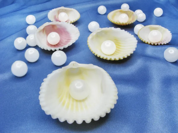 Perlen in Muscheln auf blauem Hintergrund — Stockfoto