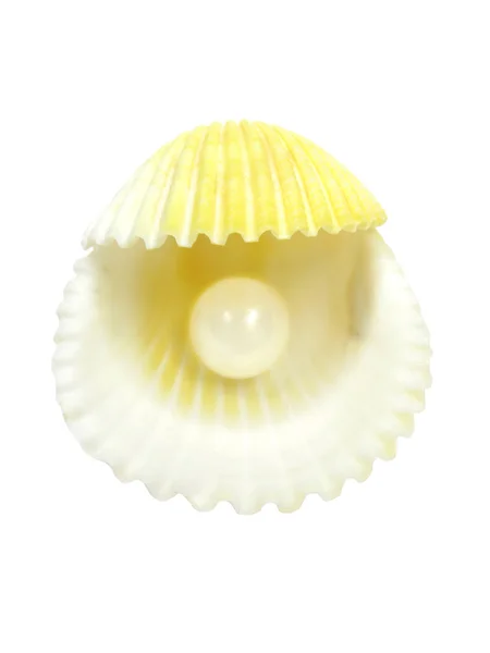 Witte parels in gele kokkel zee schelp — Stockfoto