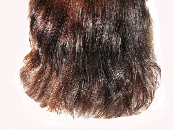 Brunette black hair — Stock Photo, Image