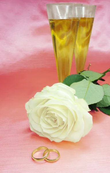 Bílé růže a snubní prsteny — Stock fotografie