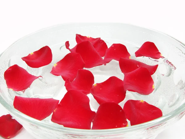 Water for spa with rose petals — Stock Photo, Image