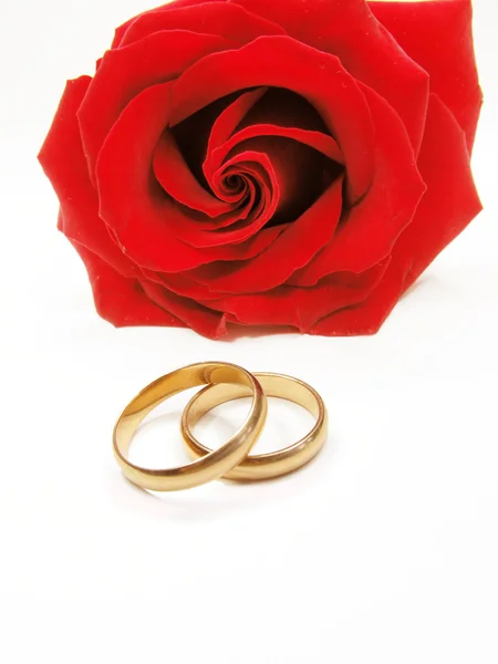 Rosa roja y anillos de boda — Foto de Stock