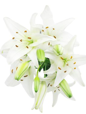 Bouquet of white lilies clipart