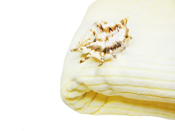 Sea shell on bathing towel — Stock Photo, Image