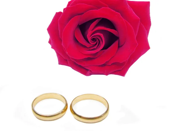 Červená růže a snubní prsteny — Stock fotografie