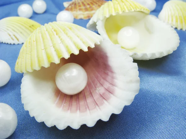 Perlen in Muscheln auf blauem Hintergrund — Stockfoto