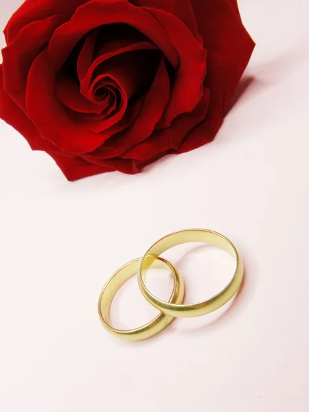 Rosa vermelha e alianças de casamento — Fotografia de Stock