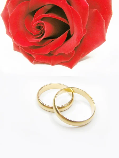 Красная роза и обручальные кольца — стоковое фото