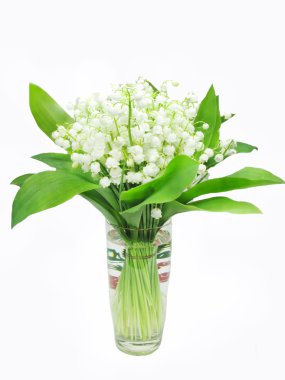 Bouquet of lily of the valley flowers clipart