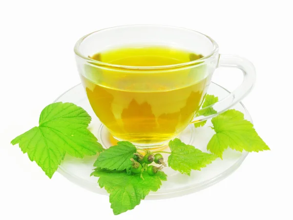 Green herbal tea with currant extract — Stock Photo, Image