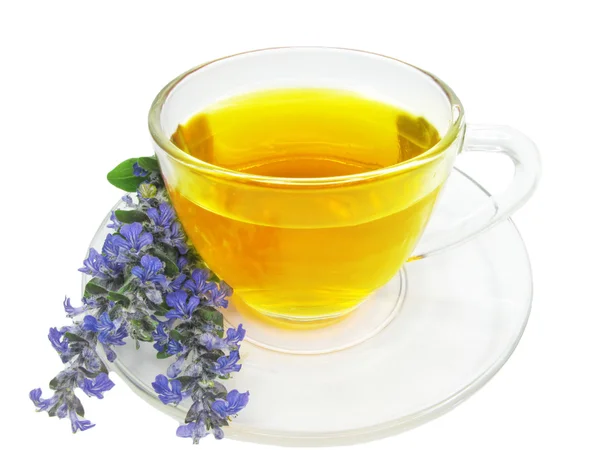 Травяной чай с экстрактом лаванды — стоковое фото