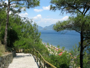 Stairs down to the beach among fur forest clipart