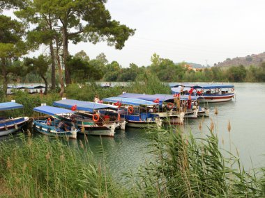 Türkiye'deki Dalyan nehir