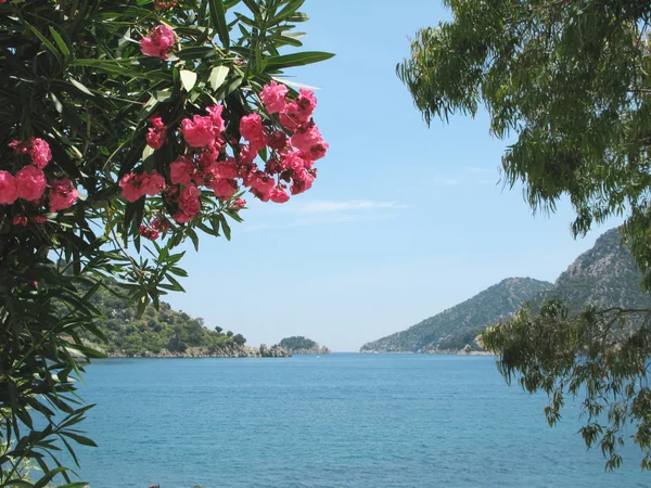 Veduta dell'isola in cornice di oleandro — Foto Stock