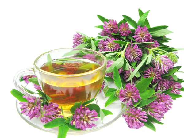 Herbaty ziołowe z ekstraktu koniczyny — Zdjęcie stockowe