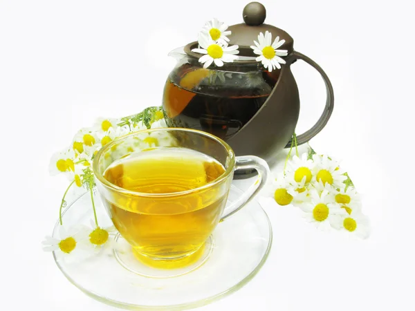 Chá de ervas com flores de margarida — Fotografia de Stock