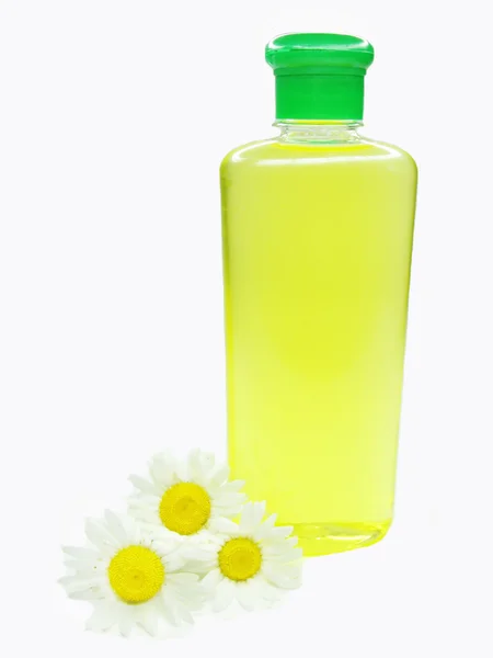 Daisy herbal shampoo — Stock Photo, Image