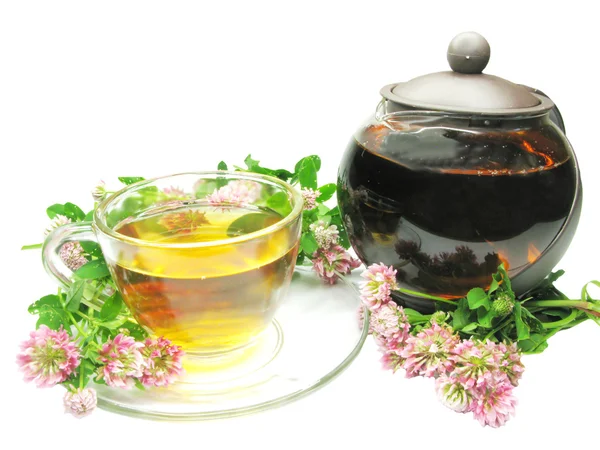 Herbal tea in tea-pot with clover — Stock Photo, Image
