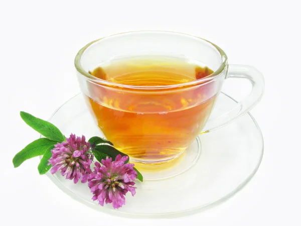 Herbal tea with clover extract — Stock Photo, Image