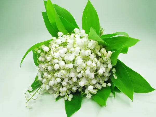 白色铃兰的花束 — 图库照片