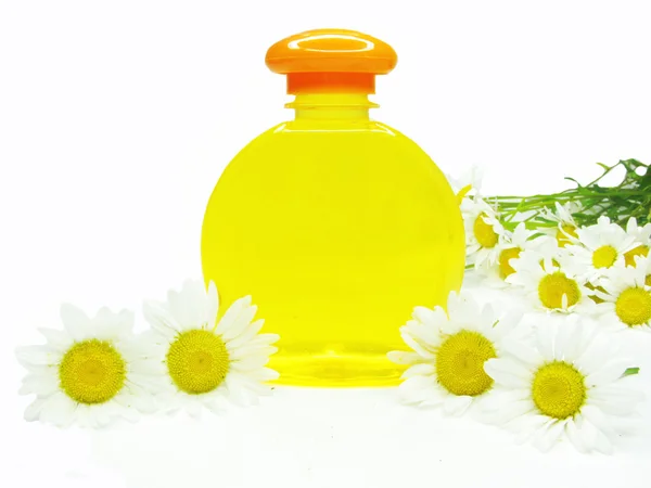 Herbal shampoo with daisy extract — Stock Photo, Image
