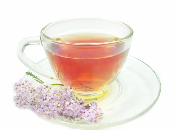 Τσάι από βότανα με ιατρική λουλούδια — Φωτογραφία Αρχείου